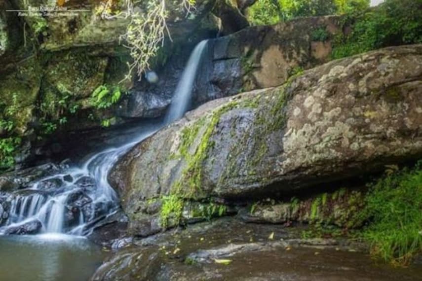 Bear Shola Falls-2